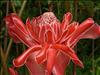 Jardin Botanico (11)